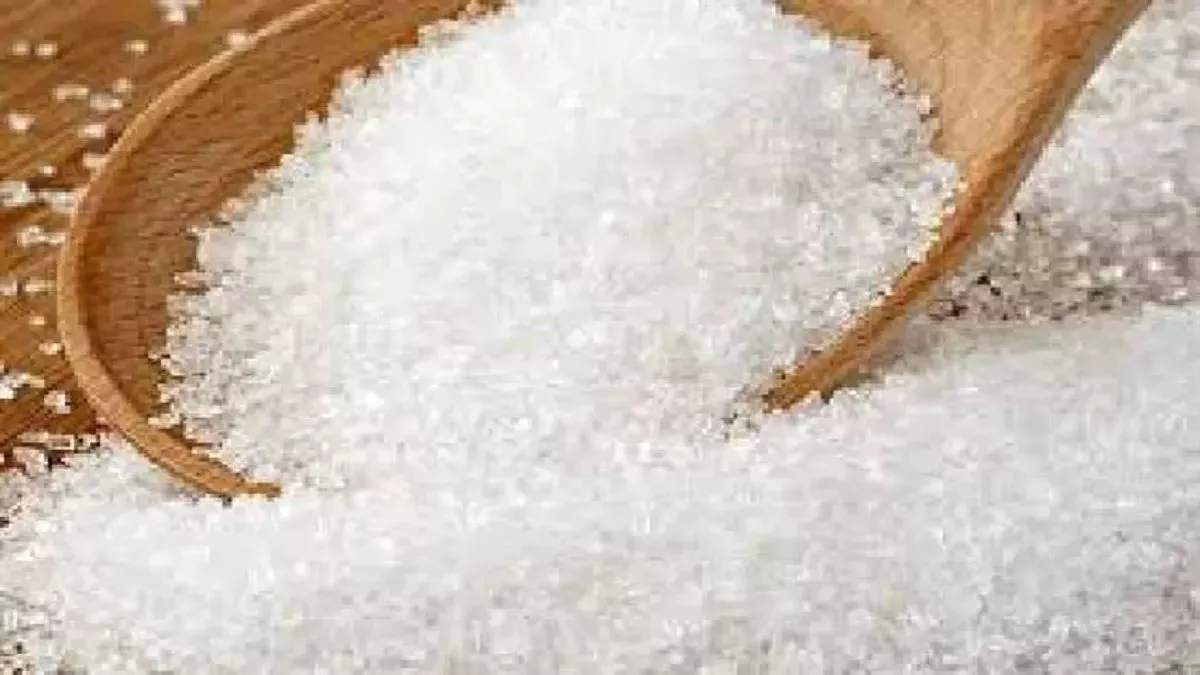 Sugar Export: ISMA ने रखी सरकार से 20 लाख टन चीनी निर्यात की डिमांड, किसानों को मिलेगा लाभ