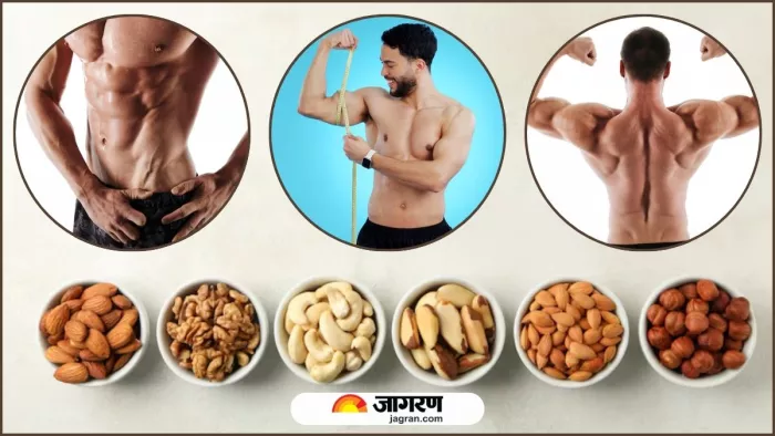 एनर्जी का पावरहाउस हैं ये 5 हाई-प्रोटीन नट्स, डाइट में शामिल करने से मिलेंगे कई फायदे (Image Source: Freepik)