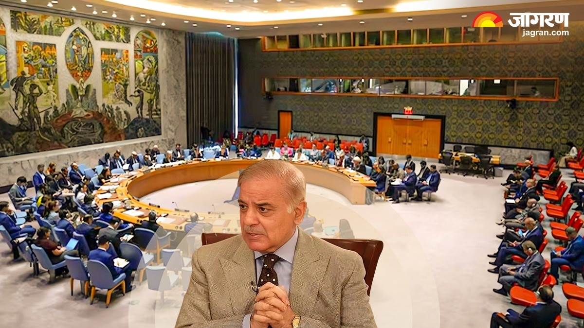 https://www.jagranimages.com/images/newimg/06052025/06_05_2025-pak_in_unsc_23932098.jpg