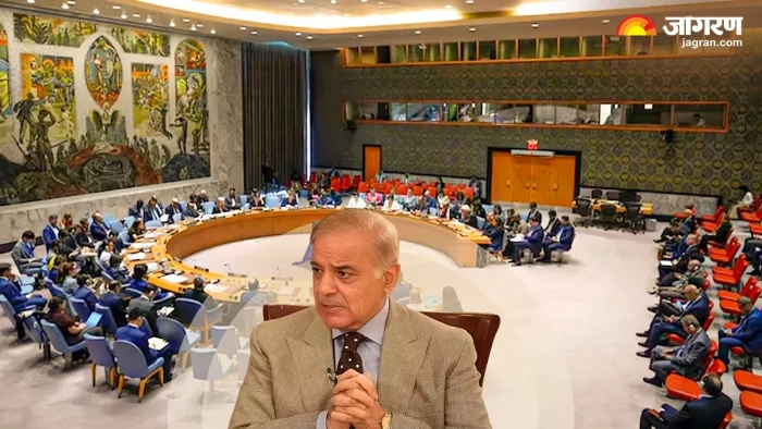 UNSC में पाकिस्तान को ही लगी फटकार। (फोटो- जागरण ग्राफिक्स)