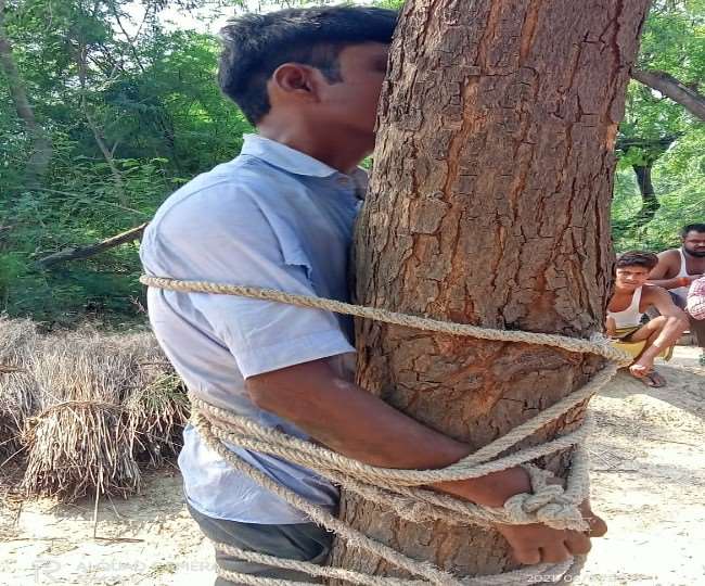 रायबरेली में गेंहू चोरी के आरोप में दबंगों ने युवक को पेड़ से बांधकर बुरी तरह पीटा।