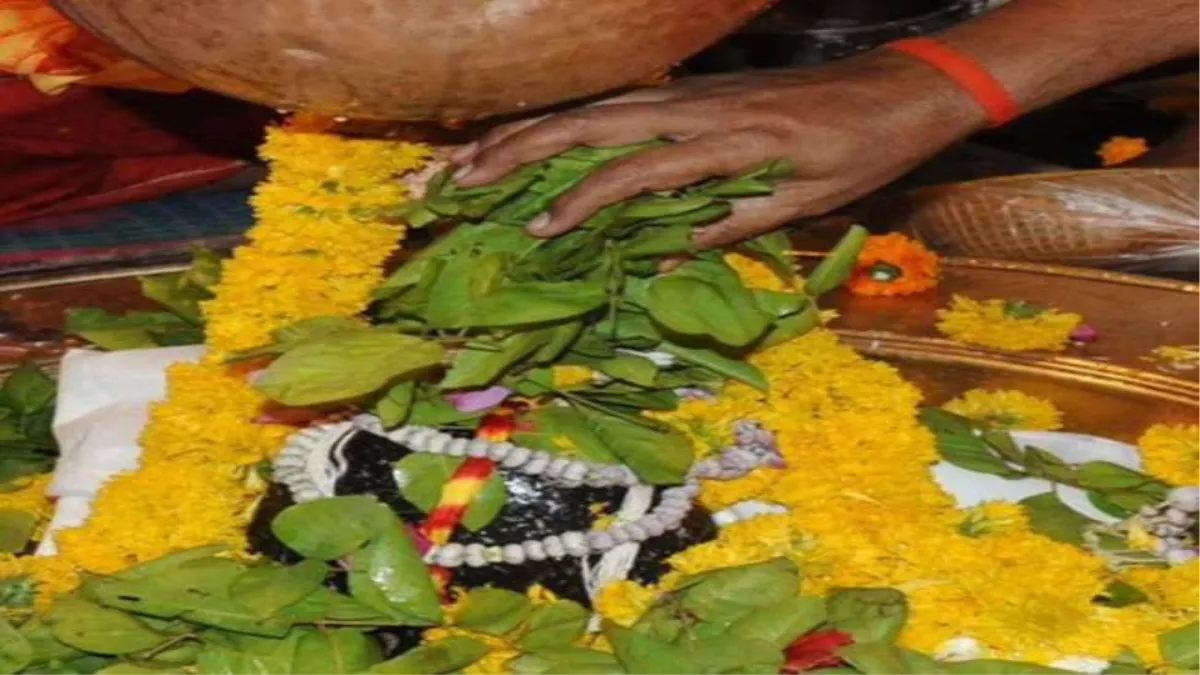 Importance Of Bel Patra: शिवलिंग पर कभी ना चढ़ाए इस तरह के बेलपत्र, उठाना  पड़ सकता है भारी नुकसान - Never offer such Bel Patra on Shivling in Shiva  Puja you may