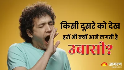 why do we yawn when we see others know the reasons behind it