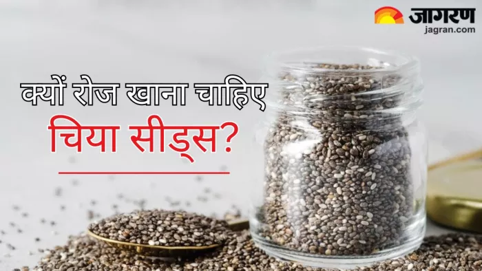 सुबह चिया सीड्स खाने से मिलेंगे ढेरों फायदे (Picture Credit- Freepik)