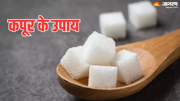 Kapoor Ke Upay: कपूर के इन उपाय से जॉब में मिलेगी सफलता, नकारात्मक शक्तियां होगी दूर (Pic Credit- Freepik)