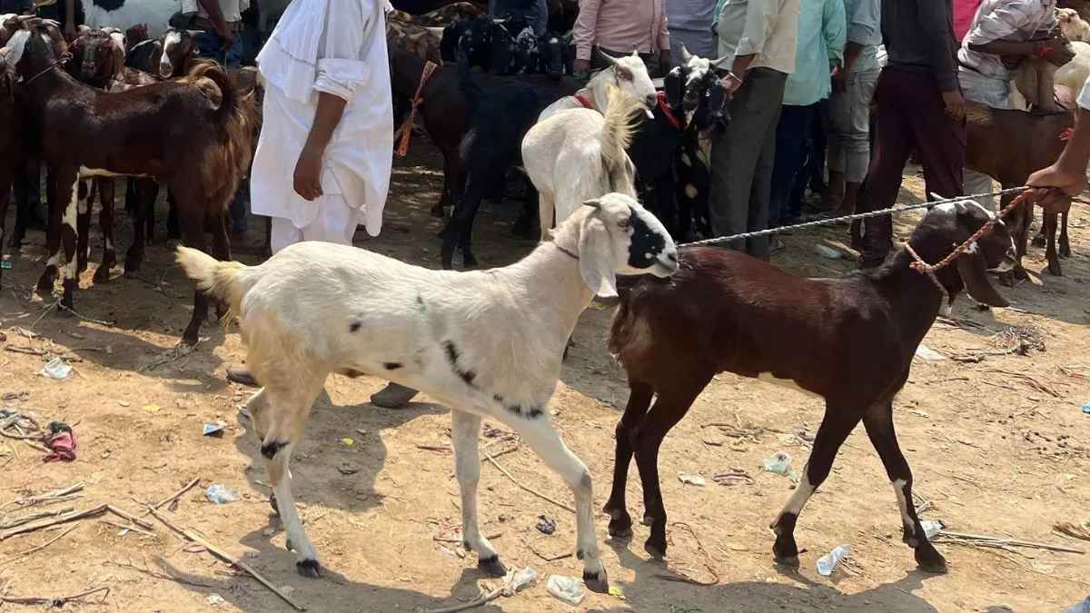 https://www.jagranimages.com/images/newimg/06062025/06_06_2025-kerala_bakrid_holiday_controversy_23957310.jpg