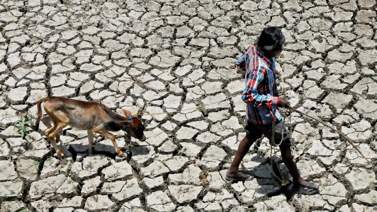Drought in World: सूखे की चपेट में दुनिया,  70 करोड़ लोगों के भविष्‍य पर मंडरा रहा खतरा
