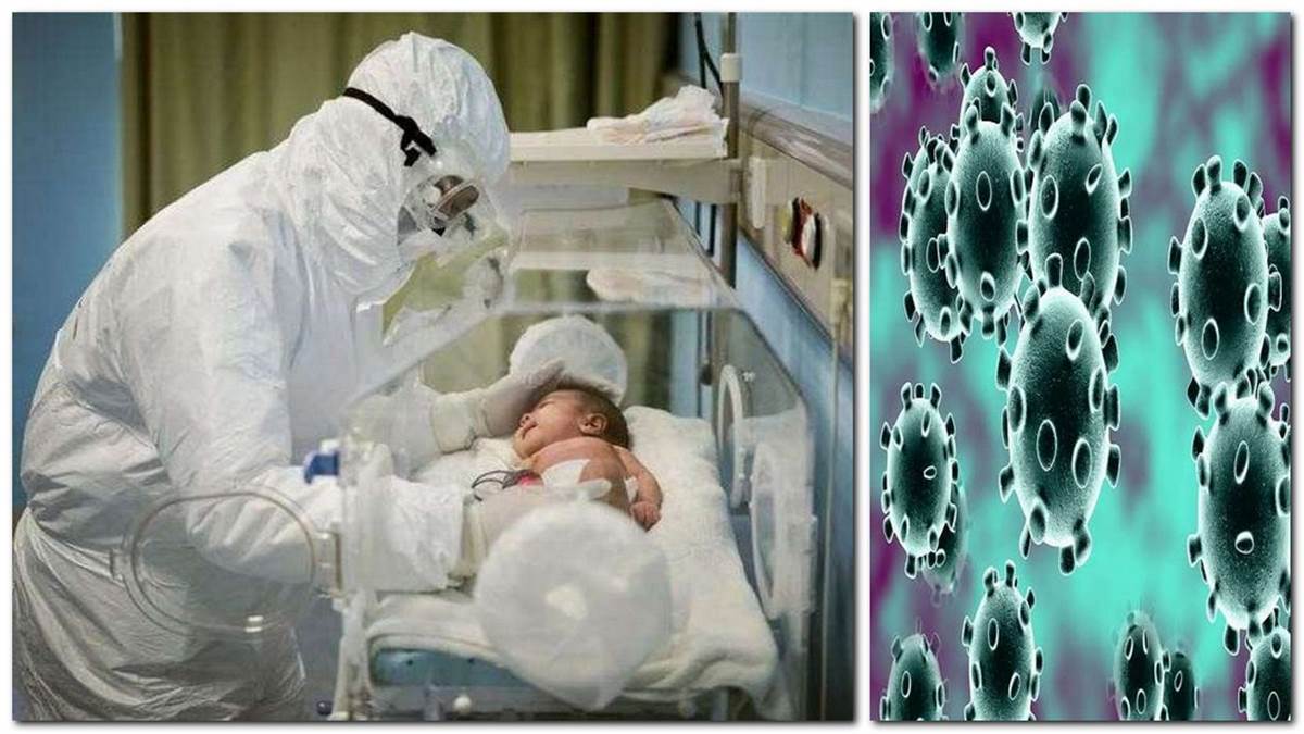 https://www.jagranimages.com/images/newimg/06072022/06_07_2022-zooneticdiseasesa_22866459_1127651.jpg