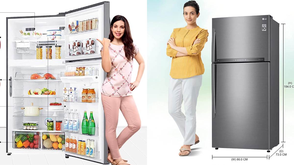 2023 में काफी डिमांड में हैं ये LG Refrigerators Double Door आते हैं