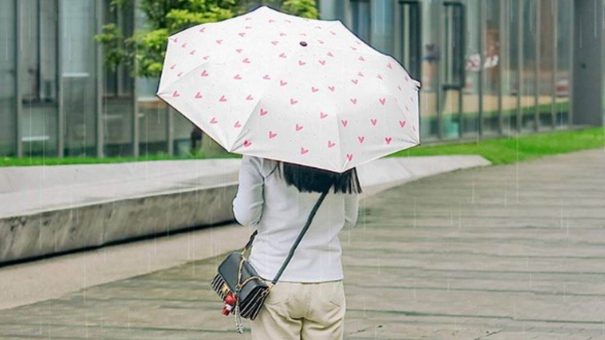 https://www.jagranimages.com/images/newimg/06072023/06_07_2023-best_umbrella_in_india_23462872.jpg