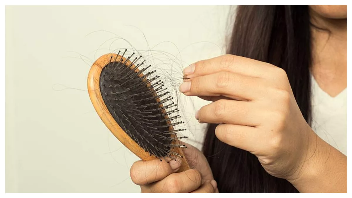 मानसून आते ही बालों का टूटना-झड़ना शुरू? ऐसे करें Hair Fall Control, मिलेंगे अच्छे रिजल्ट, बनी रहेगी मजबूती