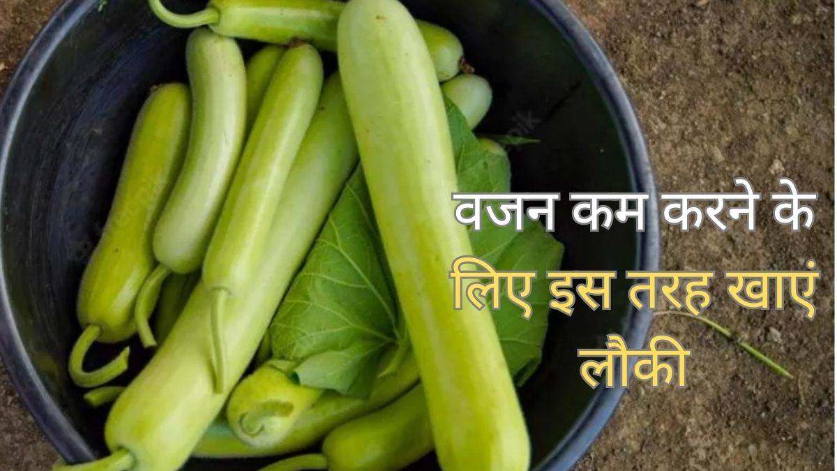 Weight Loss Tips वजन कम करने के लिए डाइट में शामिल करें लौकी, जानें