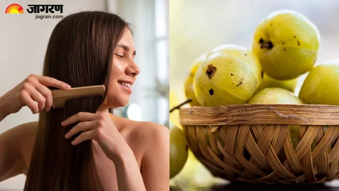 बालों के लिए इस तरह करें आंवले का इस्तेमाल, दूर होंगी कई परेशानी! (Image Source: Freepik)
