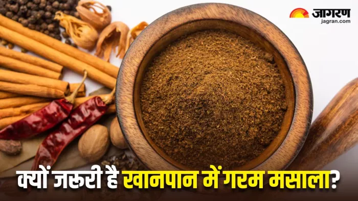 स्वाद ही नहीं, सेहत के लिए भी लाजवाब होता है गरम मसाला, जानिए इसके 5 फायदे (Image Source: Freepik)