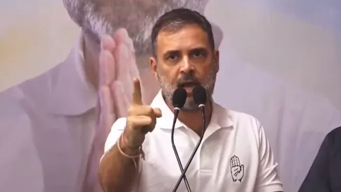 कांग्रेस गुजरात से चुनाव जीतकर नई शुरुआत करेगी- राहुल गांधी (फोटो, एक्स)