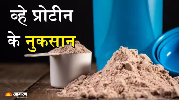 व्हे प्रोटीन के नुकसान (Picture Credit- Freepik)