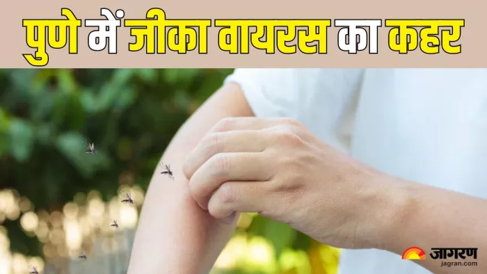 पुणे में मिला जीका वायरस का एक और केस (Picture Credit- Freepik)