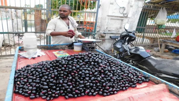 औषधीय गुणों का भंडार है जामुन, सेवन सेहत के लिए लाभकारी