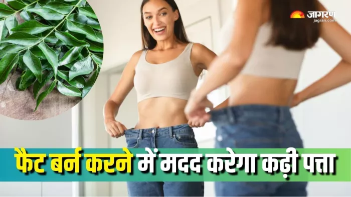 वजन कम करने के लिए ऐसे खाएं कढ़ी पत्ता (Picture Courtesy: Freepik)