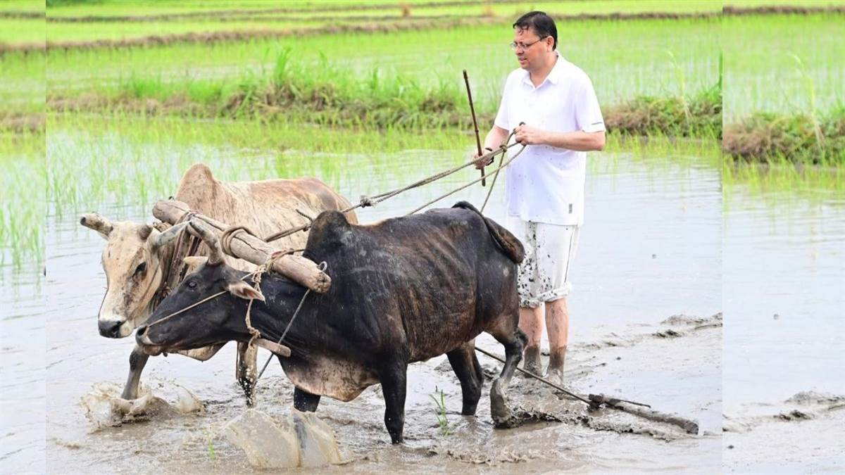 https://www.jagranimages.com/images/newimg/06072025/06_07_2025-dhamifarmer_23976712.jpg