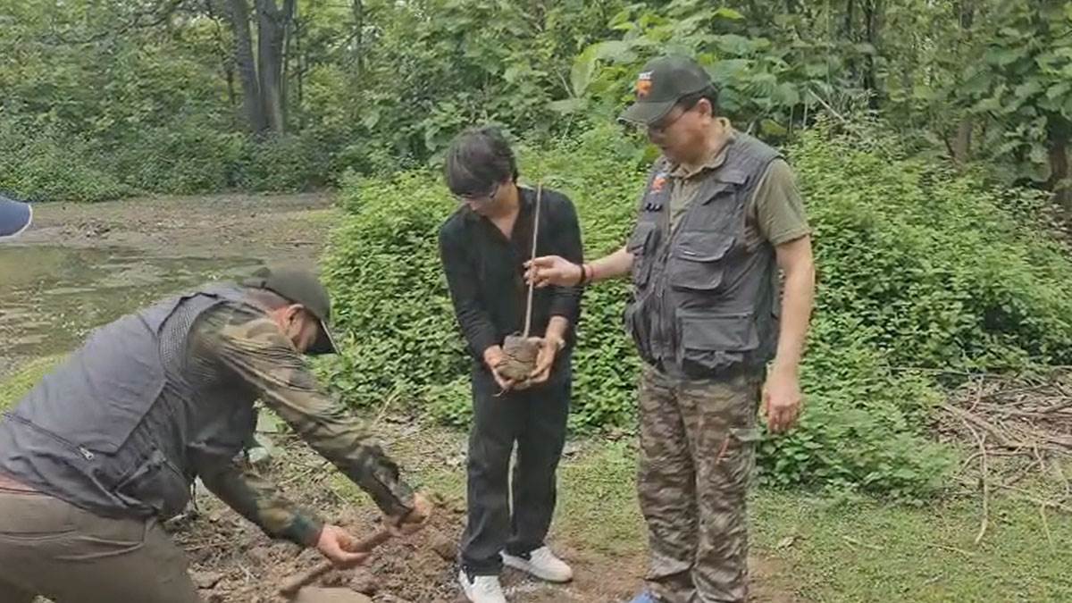 https://www.jagranimages.com/images/newimg/06072025/06_07_2025-plantation_23976791.jpg