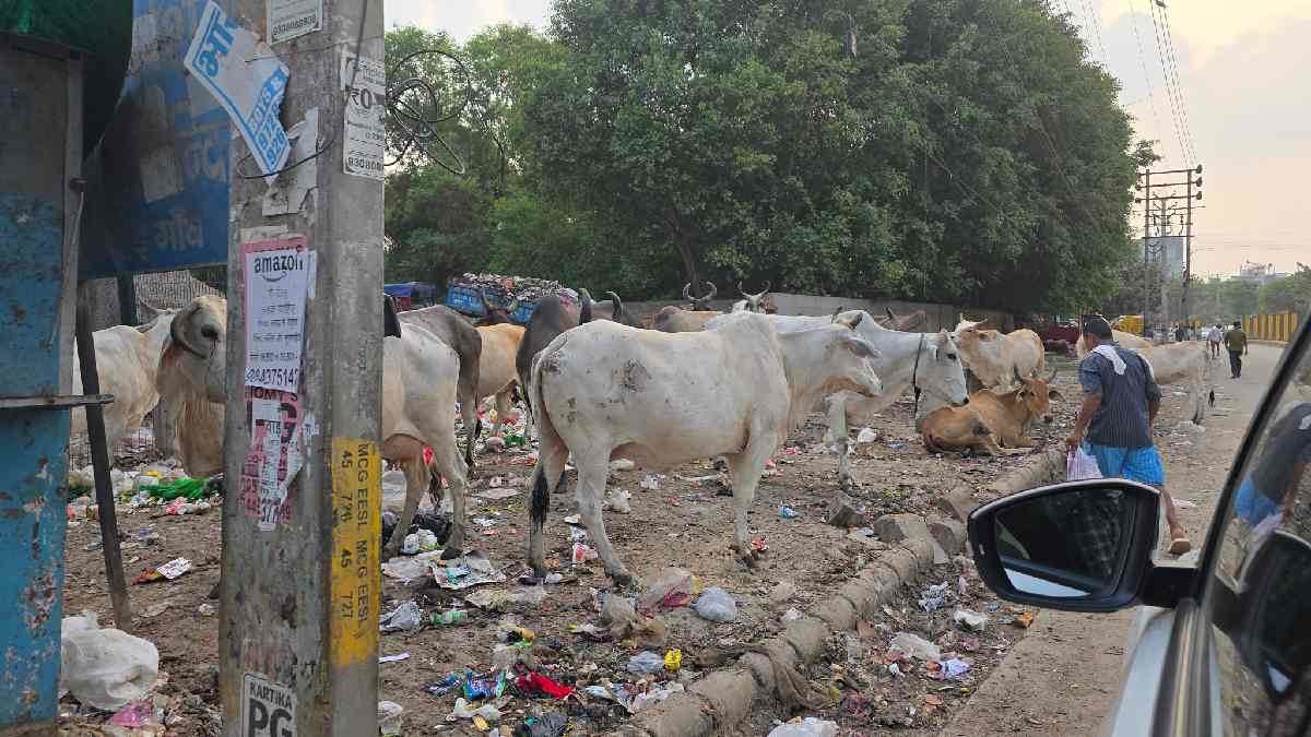 https://www.jagranimages.com/images/newimg/06072025/06_07_2025-sanjiv_kapoor_criticism_over_gurugram_garbage_issue_23976770.jpg