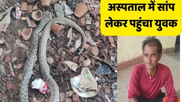 गांव अमावता में सफाई कर रहे मजदूर को सांप ने डंसा।