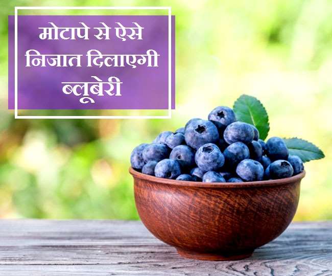 Blueberries For Weight Loss इन 3 तरीकों से आपका वज़न घटा सकती है