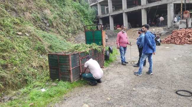 कनलोग में बने मजदूरों के एक ढारे से तेंदुए द्वारा उठाई गई बच्ची का सिर सुबह जंगल में मिला।