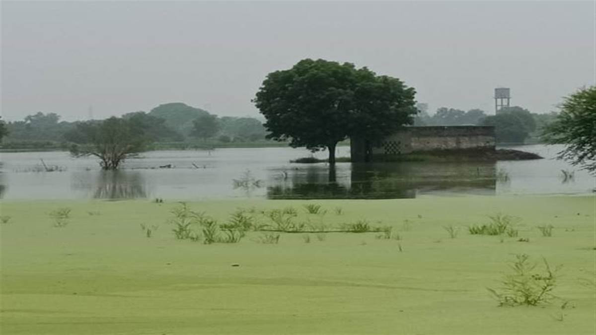 badhawad farmers and villagers jammed for nondrainage of rain water