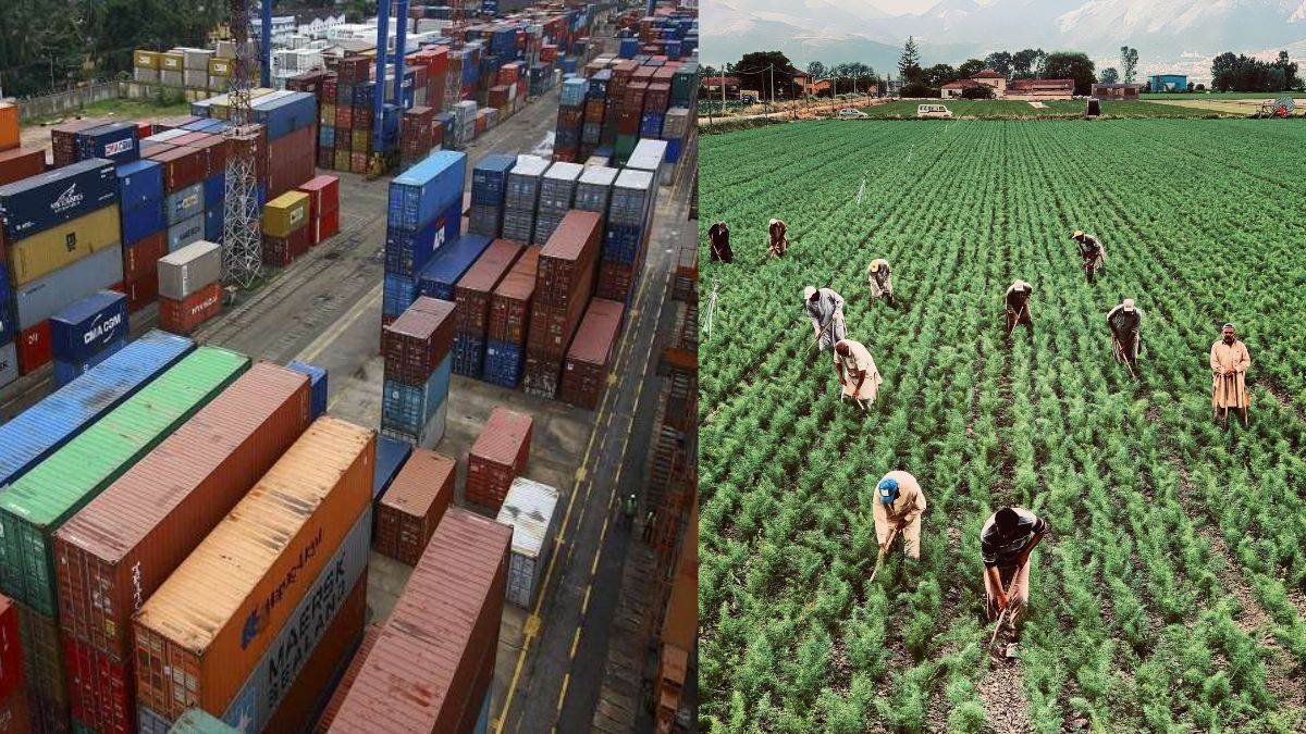 india agri and processed food exports jump by 31 percent in q1