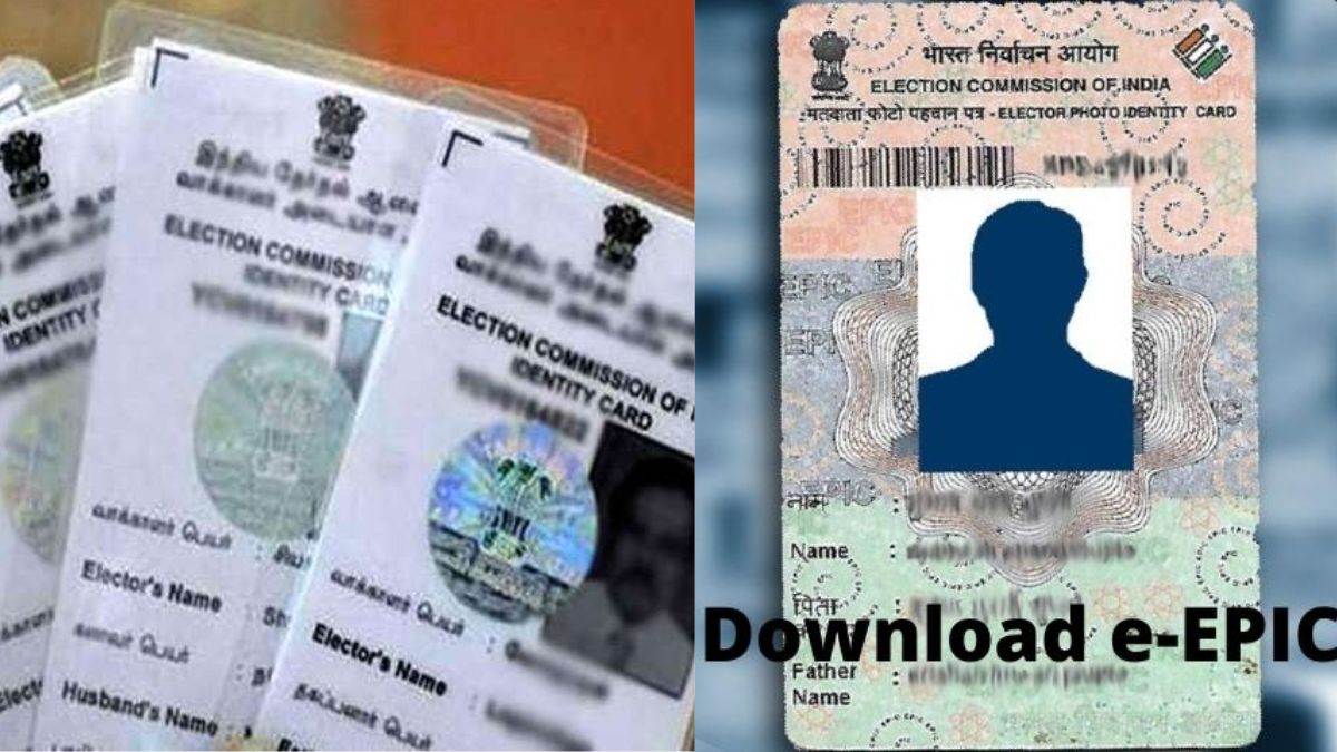 voter id check online ap
