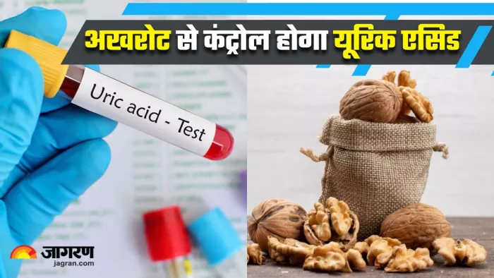 अखरोट के सेवन से कंट्रोल हो सकता है Uric Acid (Image Source: Freepik)