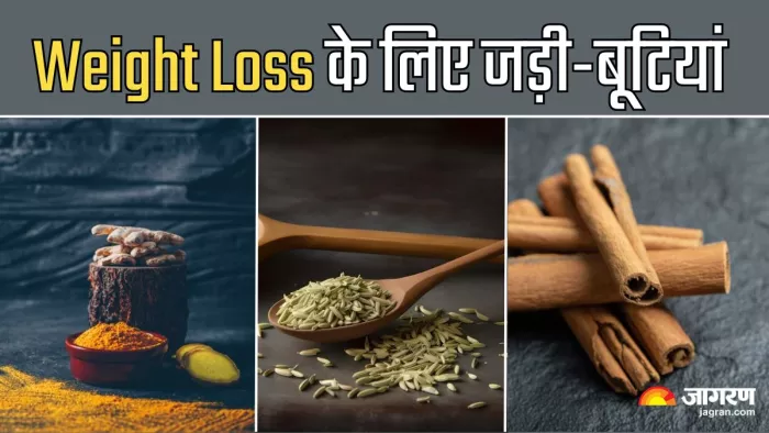 वजन घटाने में मददगार ये जड़ी-बूटियां (Picture Credit- Freepik)