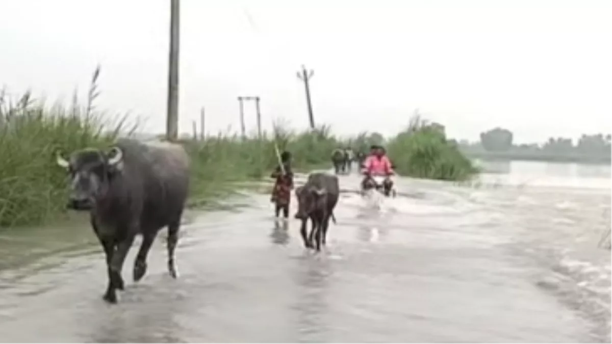 Shahjahanpur Flood Alert: गंगा खतरे के निशान से 300 मीटर नीचे, गर्रा और खन्नौत नदी भी उफनाईं