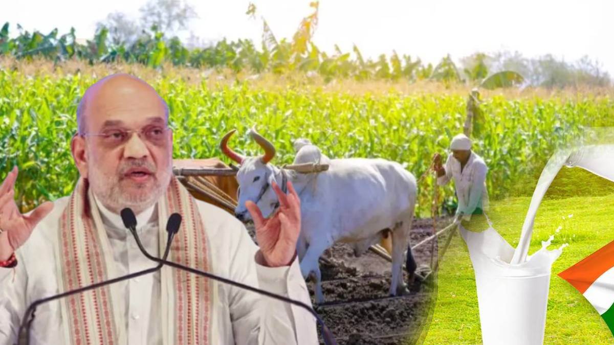https://www.jagranimages.com/images/newimg/06082025/06_08_2025-amit_shah_cooperative_societies_24004799.jpg
