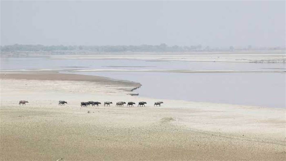 https://www.jagranimages.com/images/newimg/06082025/06_08_2025-indus_delta_24005118.jpg