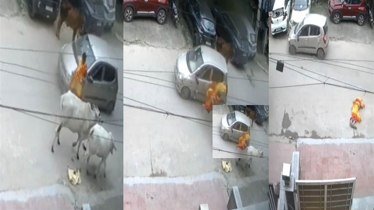 ncr faridabad speeding car hits woman in dayalbagh and driver flees