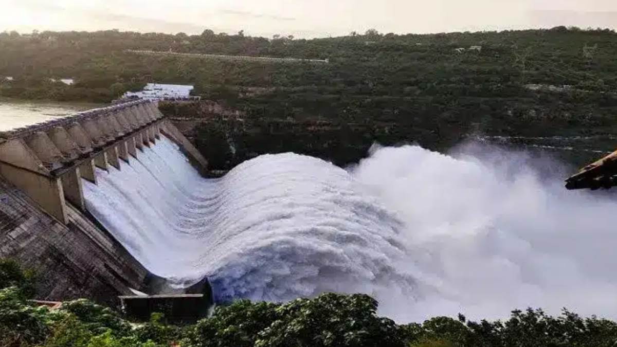 https://www.jagranimages.com/images/newimg/06082025/06_08_2025-pong_dam_24004873.jpg