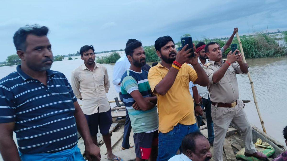 leopard spotted on tree in prayagraj amid ganga floodwaters