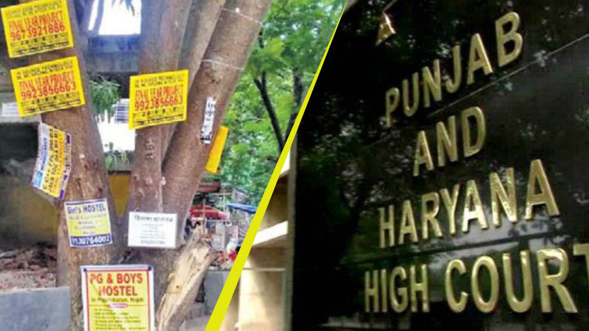 https://www.jagranimages.com/images/newimg/06082025/06_08_2025-punjab_hryana_hc_24005102.jpg