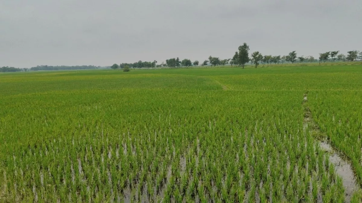 Bihar Land Acquisition: बिहार के इस जिले में 250 एकड़ जमीन अधिग्रहित करेगी सरकार, लोगों ने जताई खुशी