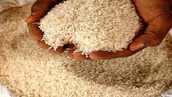 बिहार में जविप्र दुकानों का सच : गेंहूं के बदले चावल, नहीं दी जाती है ...