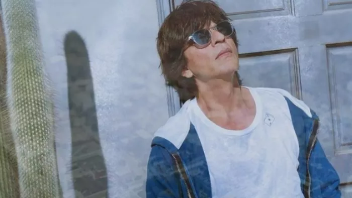 Shah Rukh Khan buy rights of Govinda and Raveena Tandon film Dulhe Raja.
