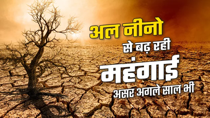 एशिया के कई देशों, ऑस्ट्रेलिया, ब्राजील में सूखे की आशंका, भारत में भी गेहूं-चावल का स्टॉक 2017 के बाद सबसे कम