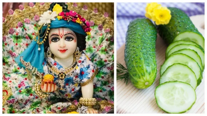 Janmashtami 2023 खीरे के बिना अधूर मानी जाती है कृष्ण जन्माष्टमी।