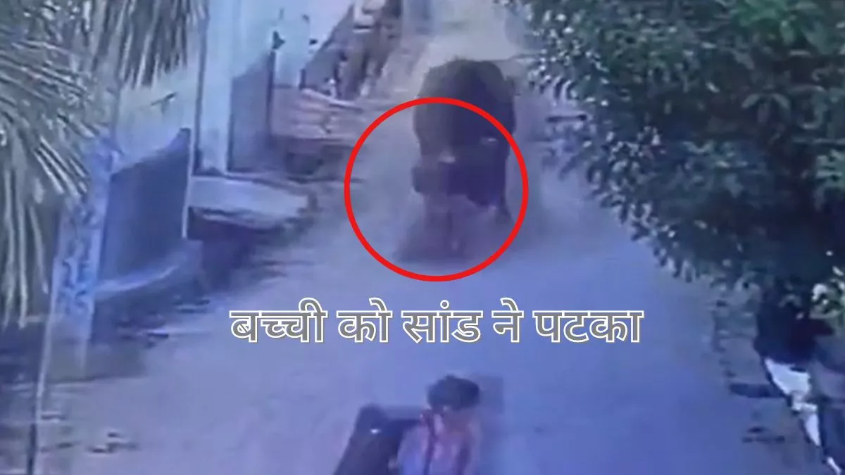 ग्रेटर नोएडा में स्कूल जा रही आठ वर्षीय बच्ची को सांड ने पटका, सामने आया घटना का डरावना VIDEO