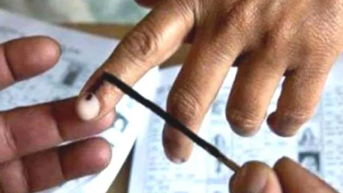 Haryana Election: मतदाताओं को मतदान के लिए किया जा रहा जागरूक। फाइल फोटो