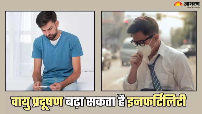 Air Pollution बन सकता है इनफर्टिलिटी का कारण (Picture Credit- Freepik)