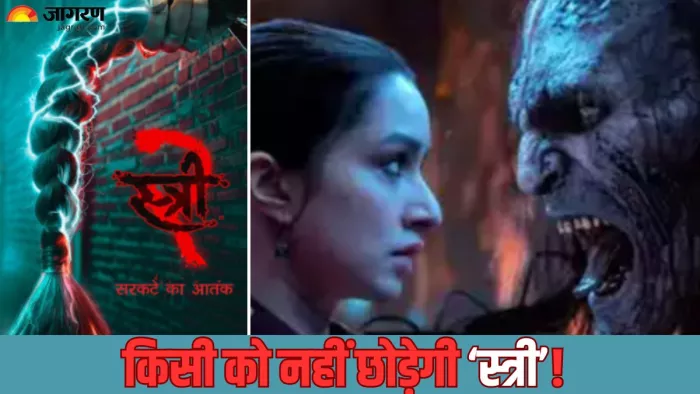 स्त्री 2 ने 24 फिल्मों को चटाई धूल/ फोटो- Jagran Graphic